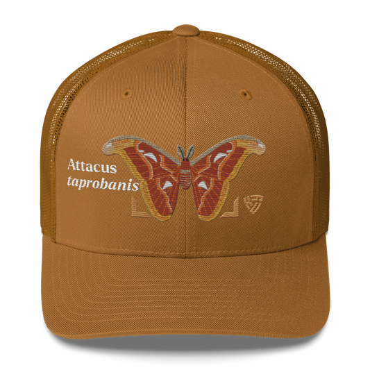 Atlas Moth "Attacus taprobanis" Embroidered Caramel Trucker Hat Front Mockup