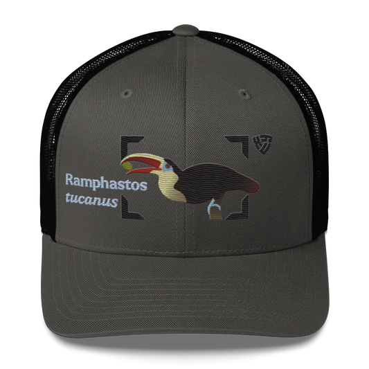 White-throated Toucan "Ramphastos tucanus" Embroidered Charcoal Grey & Black Trucker Hat Front Mockup
