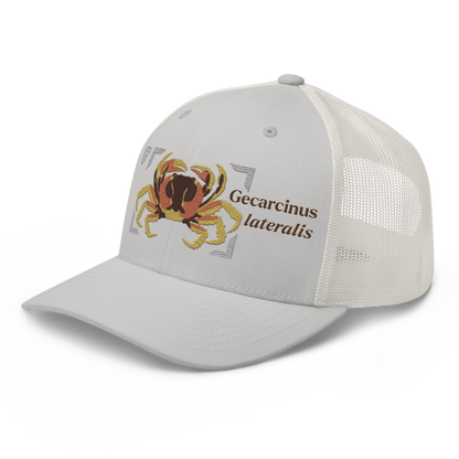 Blackback Land Crab "Gecarcinus lateralis" Embroidered Silver Trucker Hat Left Front Mockup