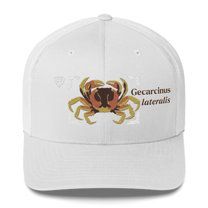 Blackback Land Crab "Gecarcinus lateralis" Embroidered White Trucker Hat Front Mockup