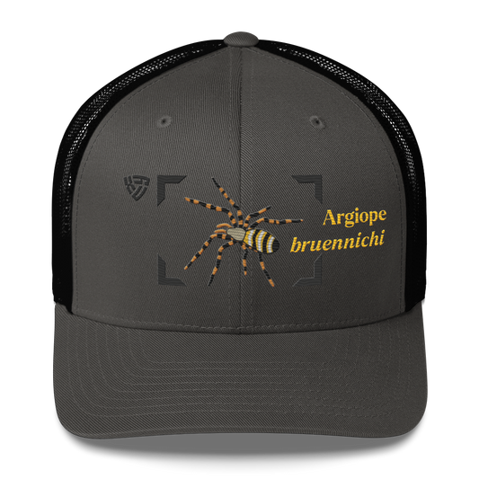 Wasp Spider "Argiope bruennichi" Embroidered Charcoal Grey & Black Trucker Hat Front Mockup