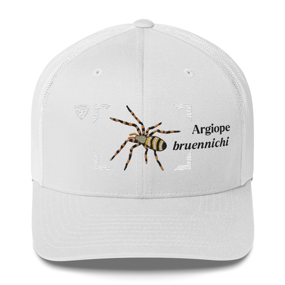 Wasp Spider "Argiope bruennichi" Embroidered Charcoal White Trucker Hat Front View