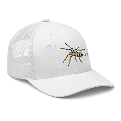 Wasp Spider "Argiope bruennichi" Embroidered Charcoal White Trucker Hat Right Front View